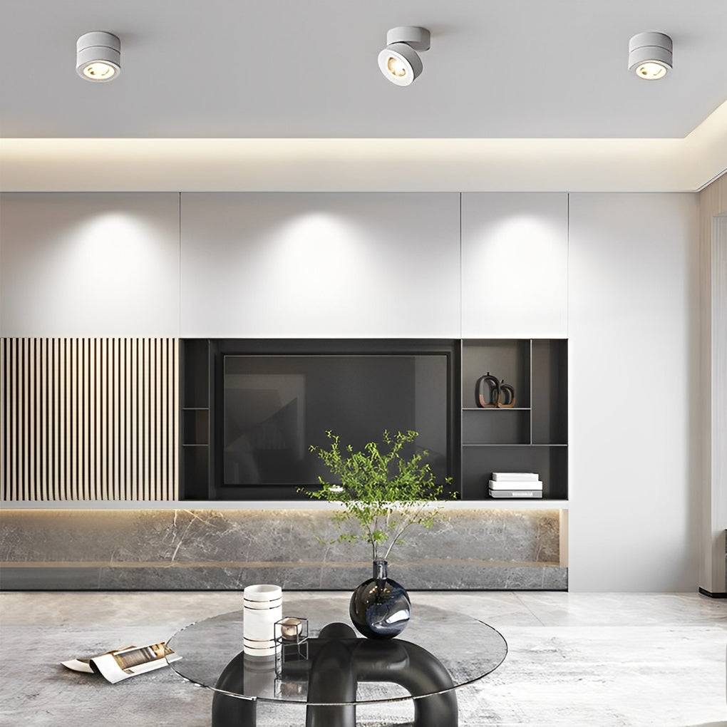 Surface mounted adjustable spotlight illuminating a modern living room with clean, minimalist design.