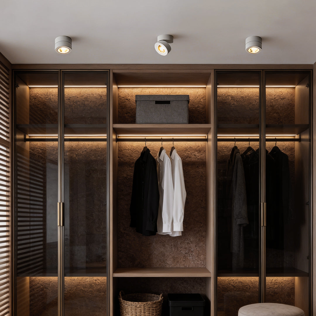 Surface mounted adjustable spotlight in a walk-in closet, providing focused lighting for wardrobe organization.