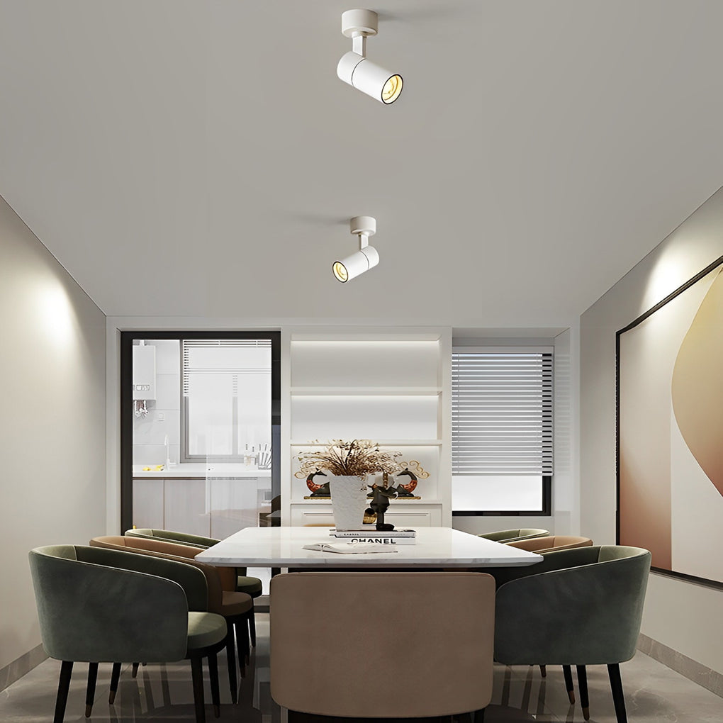 Surface mounted spot light installed above dining table providing focused ceiling lighting.