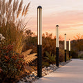 Tall garden bollard light illuminating pathway surrounded by ornamental grasses at sunset.