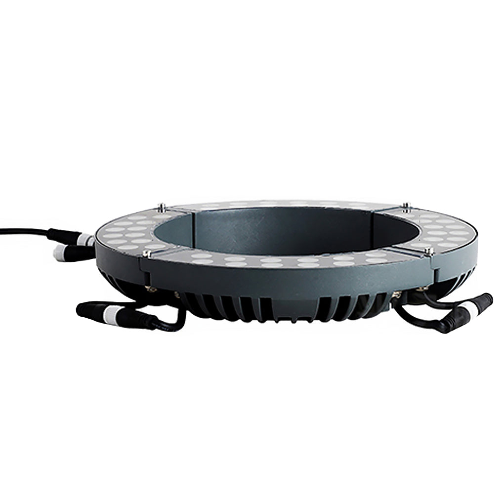 Tree ring light with multiple ground spikes for stable installation