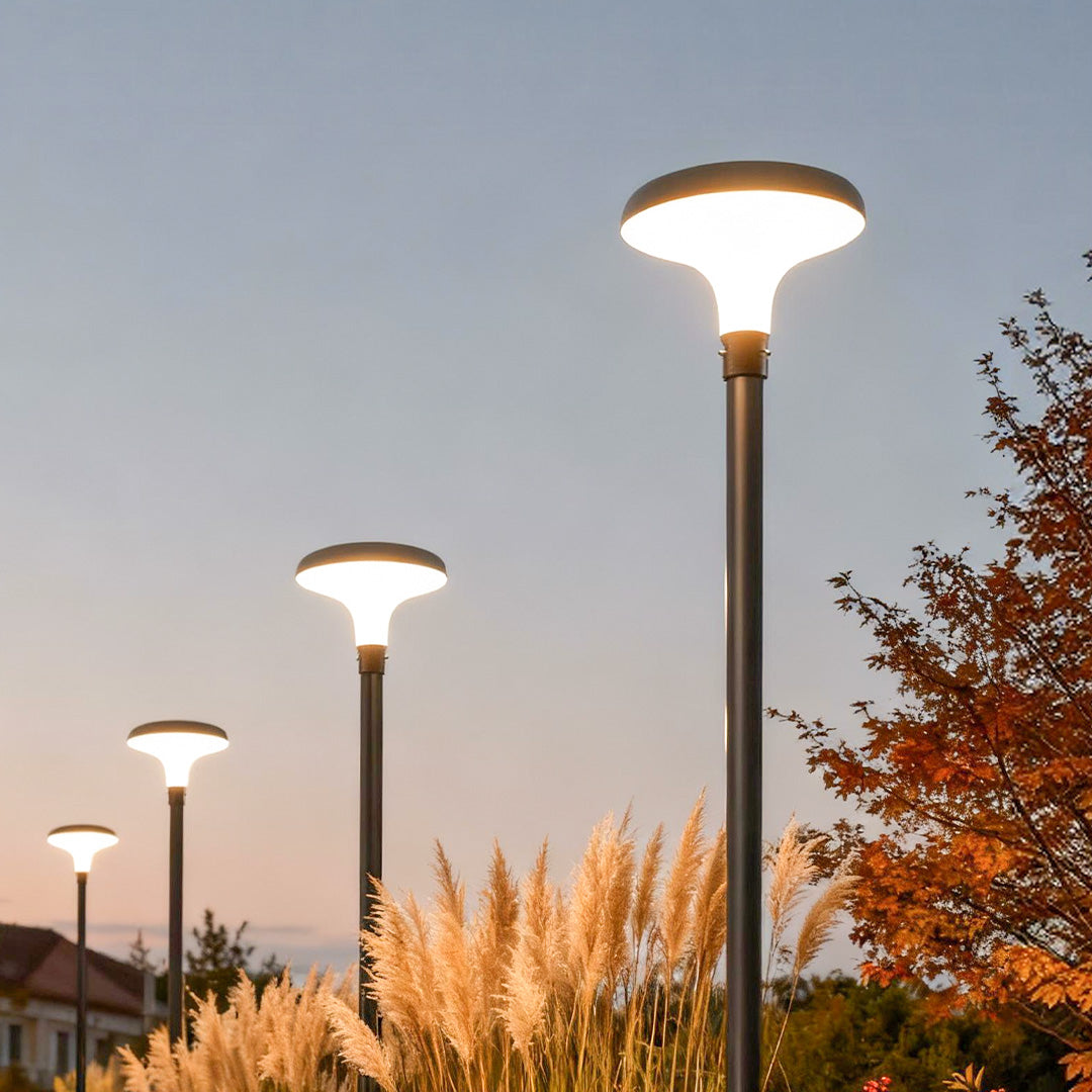 UFO solar street lights illuminating a suburban walkway with trees.