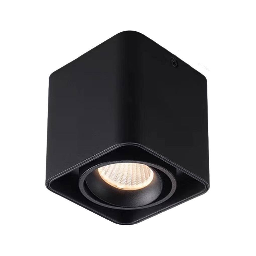 Surface mounted spot light with white finish and single head.