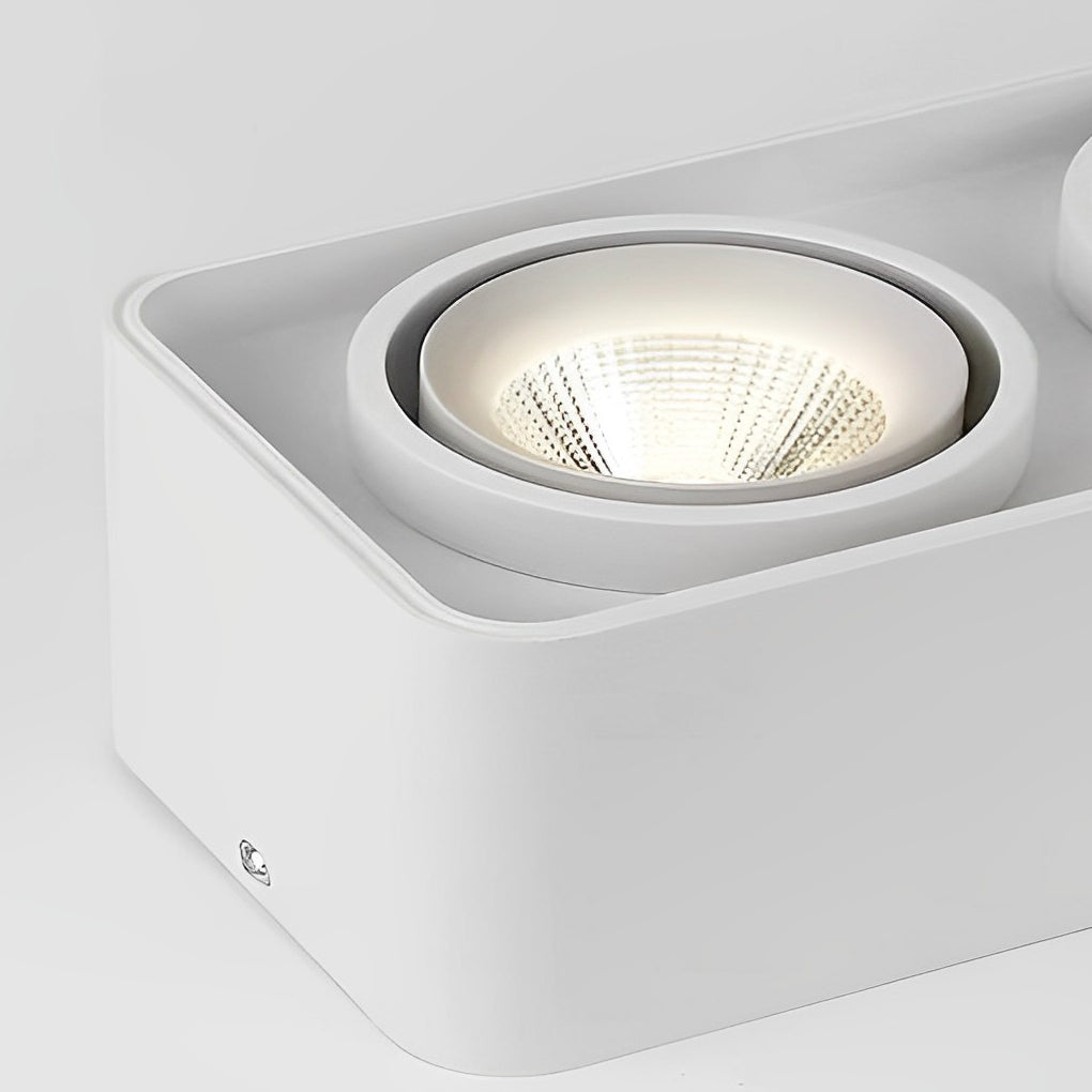 Surface mounted spot light with white finish and adjustable head.